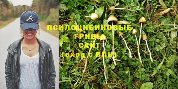 спиды Алзамай